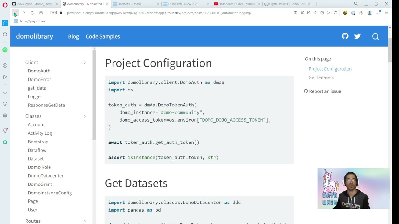 Domopalooza 2023 + Python || Automate Dataset Tagging
