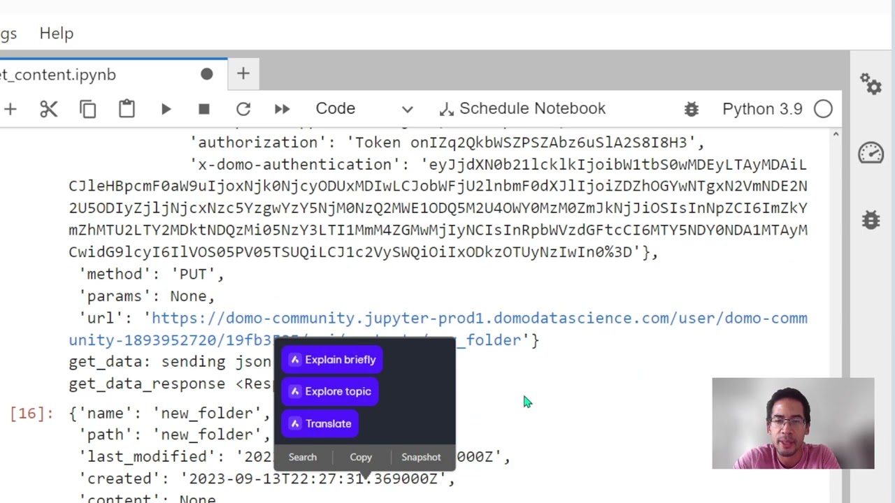 Query Domo Jupyter using Python 2 of 4 || constructing route functions